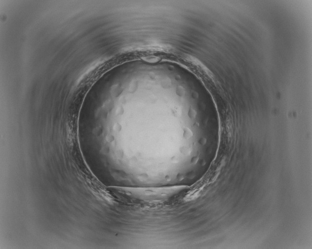 X0000072991064200608041302