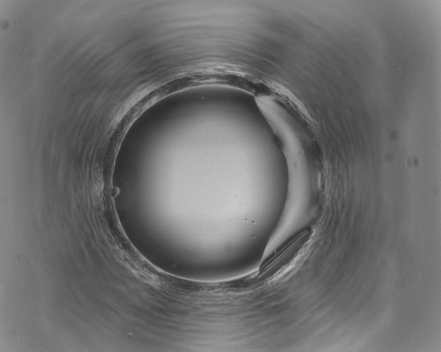 X0000072991065200608041302