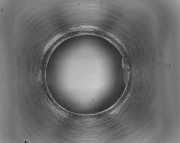 X0000072991066200608041302