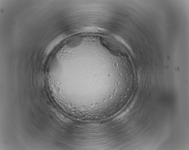 X0000072991067200608041302