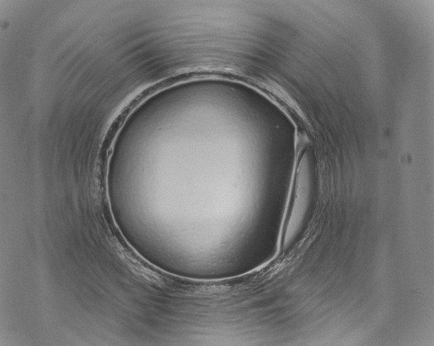 X0000072991068200608041302