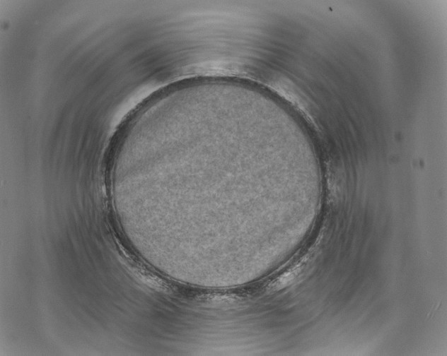 X0000072991070200608041302