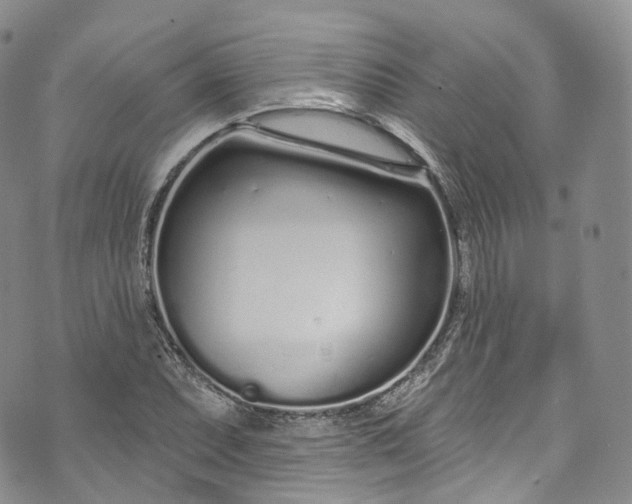 X0000072991071200608041302