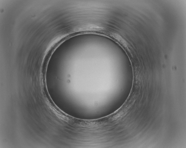 X0000072991072200608041302