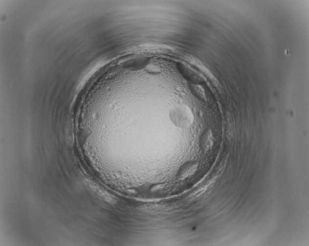 X0000072991075200608041302