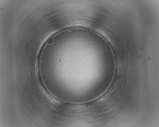 X0000072991076200608041302