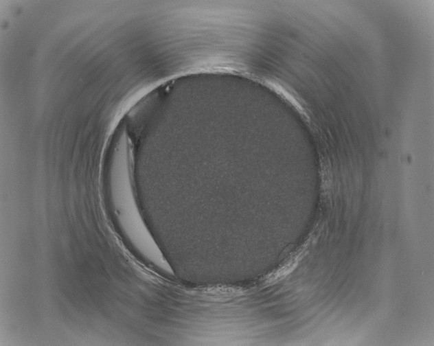 X0000072991077200608041302