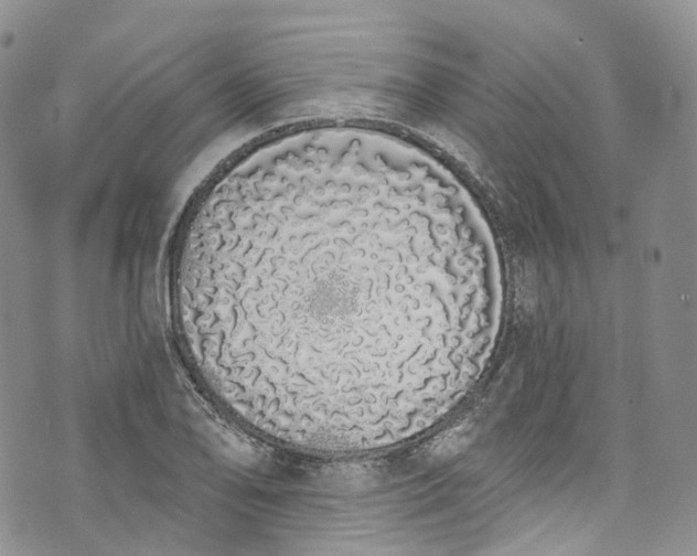 X0000072991078200608041302