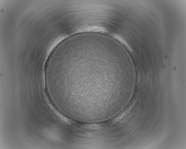 X0000072991079200608041302