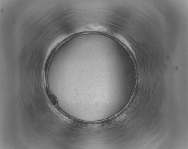 X0000072991080200608041302