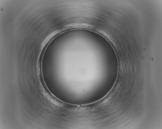 X0000072991082200608041302