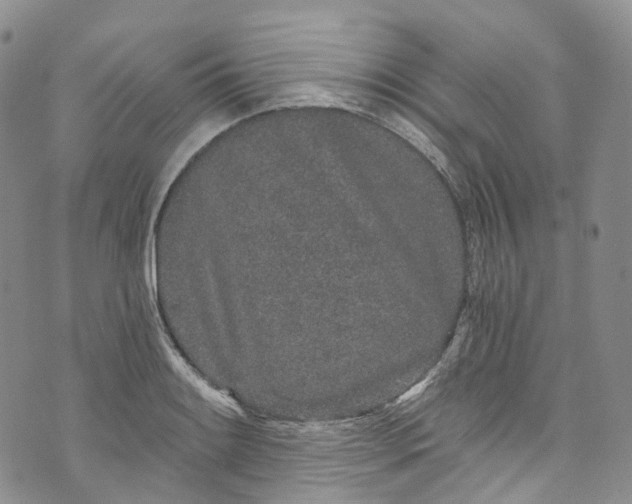 X0000072991084200608041302