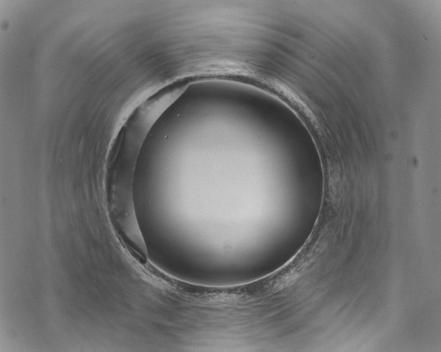 X0000072991085200608041302