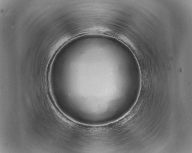 X0000072991087200608041302