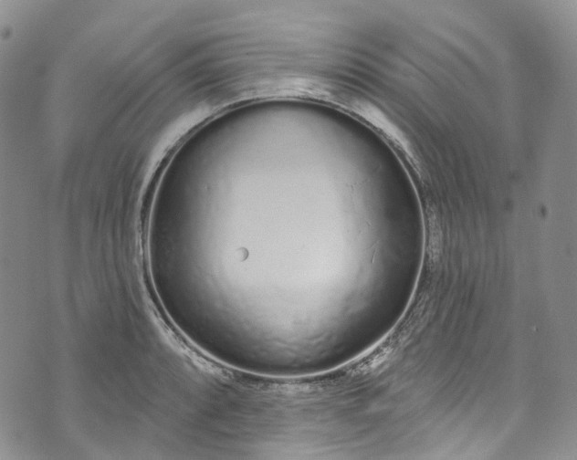 X0000072991088200608041302