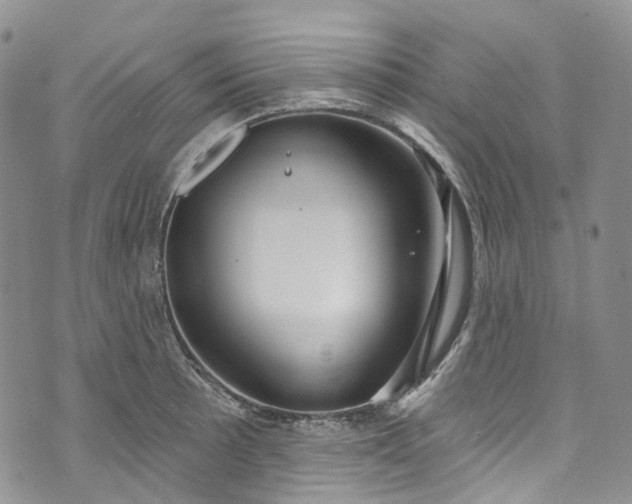 X0000072991089200608041302