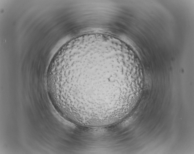 X0000072991090200608041302