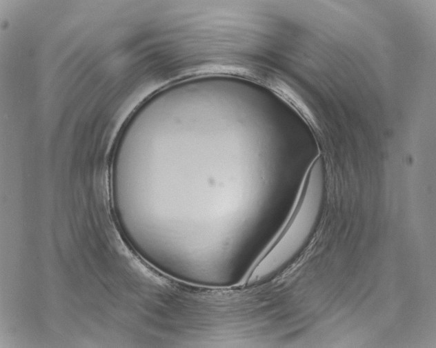 X0000072991092200608041302