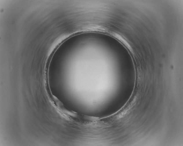 X0000072991093200608041302