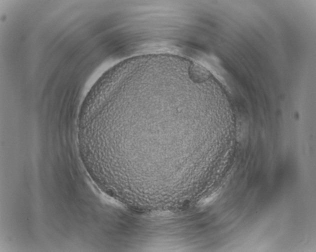 X0000072991094200608041302