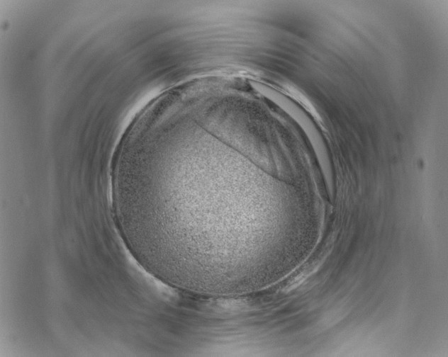 X0000072991095200608041302