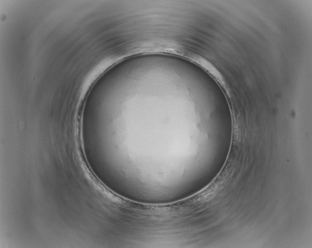 X0000072991096200608041302