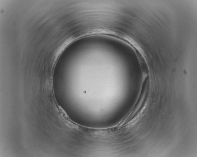 X0000072991097200608041302