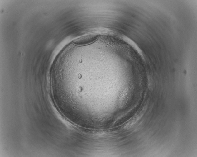 X0000072991099200608041302