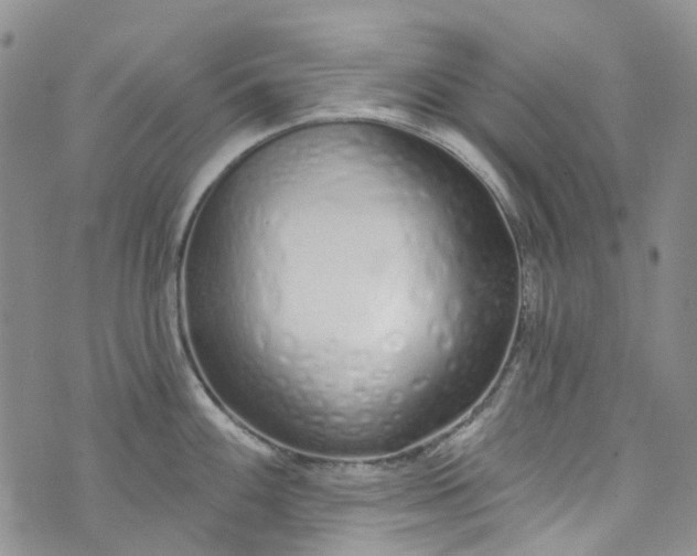 X0000072991100200608041302