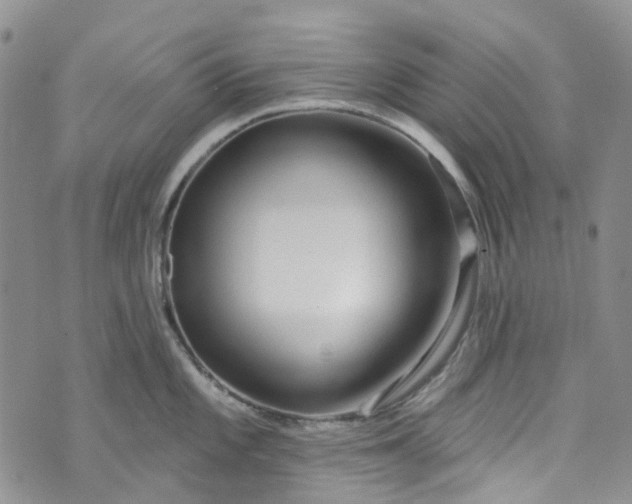 X0000072991101200608041302