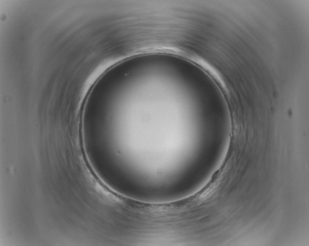 X0000072991102200608041302