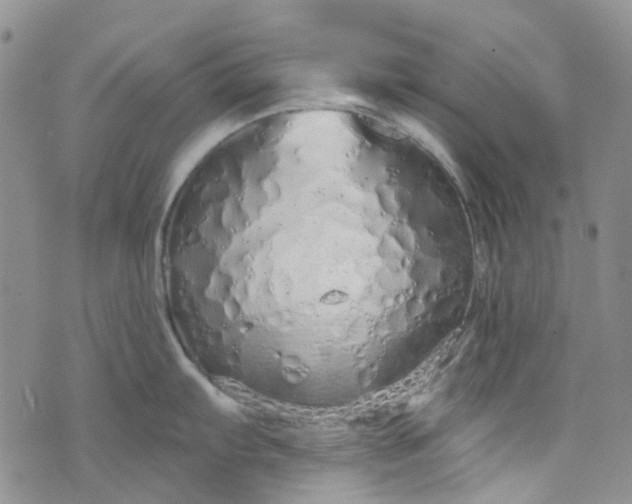 X0000072991103200608041302