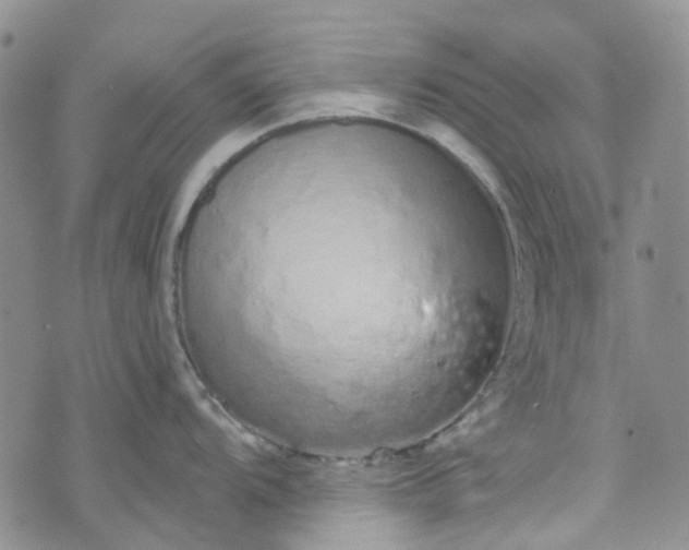 X0000072991104200608041302