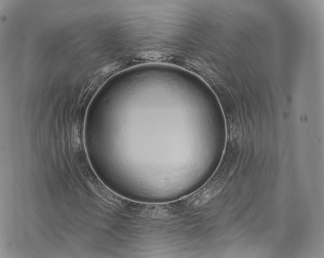 X0000072991106200608041301