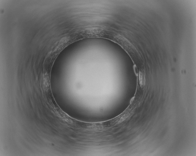 X0000072991107200608041301