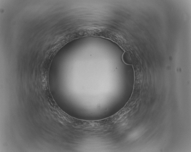 X0000072991109200608041301