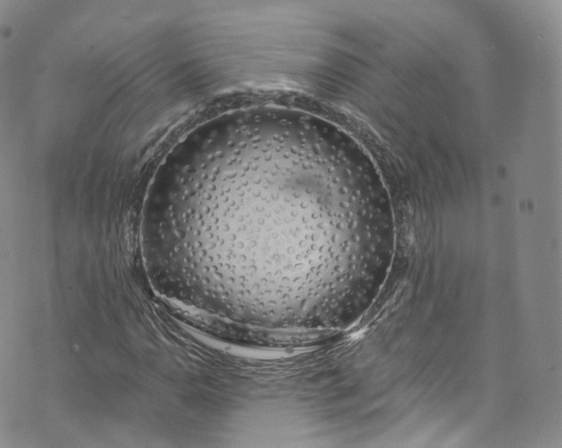 X0000072991110200608041301