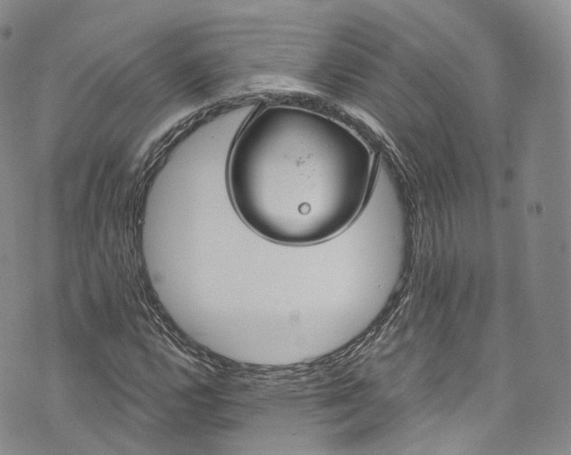 X0000072991112200608041301