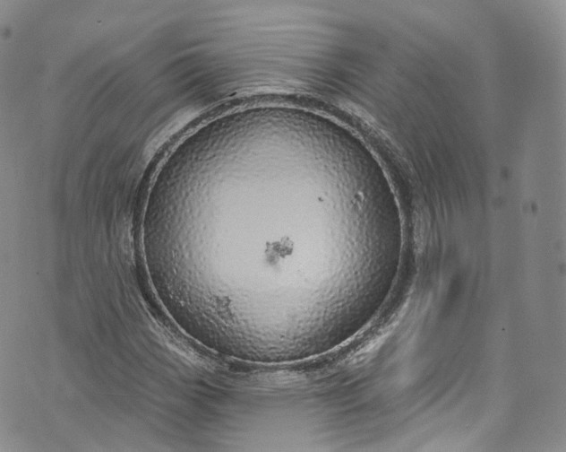 X0000072991113200608041301