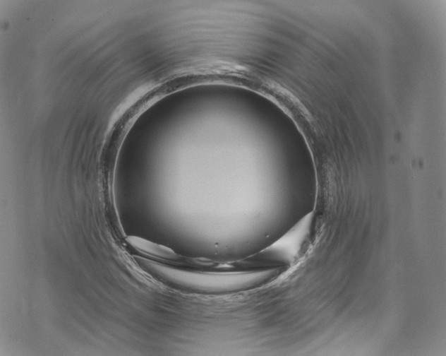 X0000072991114200608041301