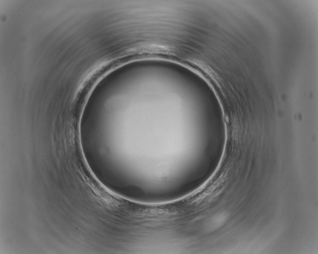 X0000072991115200608041301