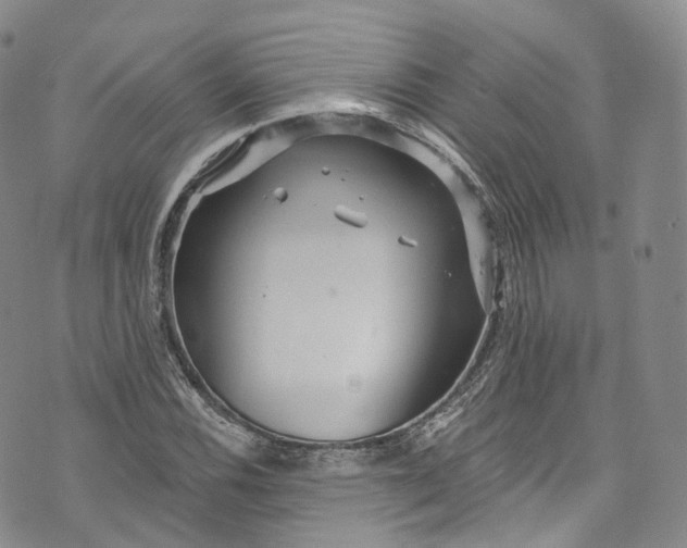 X0000072991116200608041301