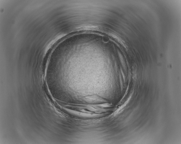 X0000072991117200608041301