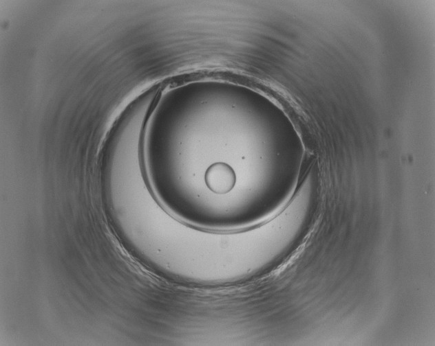 X0000072991118200608041301