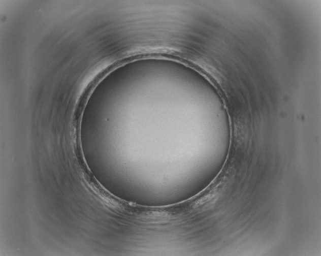 X0000072991119200608041301