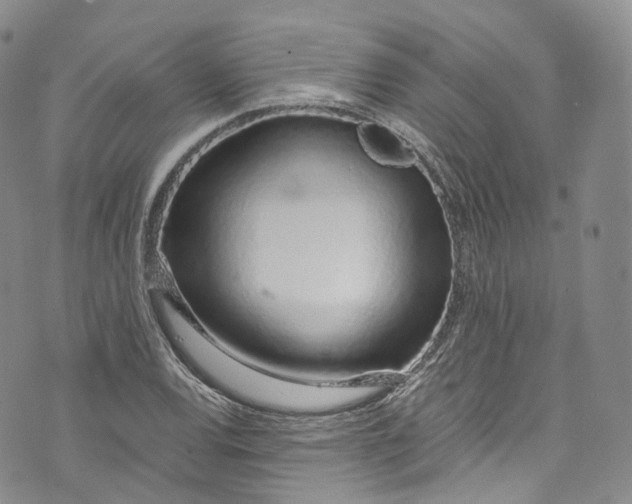 X0000072991120200608041301