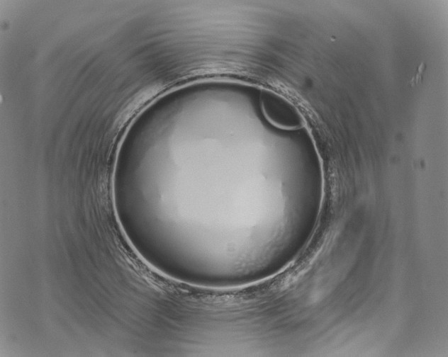 X0000072991121200608041301