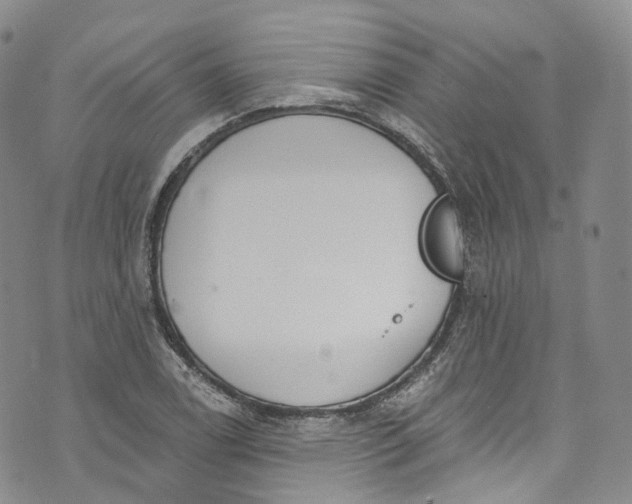 X0000072991122200608041301