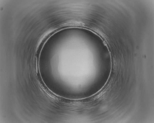 X0000072991123200608041301