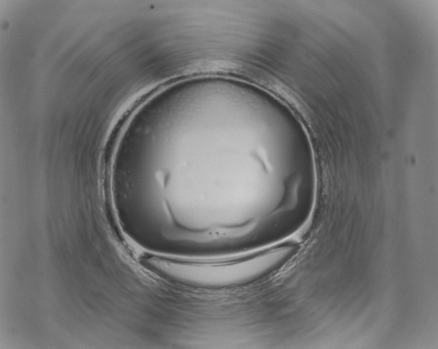 X0000072991124200608041301